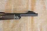 Remington Nylon 66 in .22LR - 12 of 13