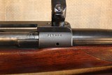 Winchester Model 70 Pre-64 in .30-06 SPRG - 8 of 19