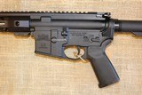 Palmetto State Armory PA-15 in 5.56 Nato - 9 of 15