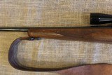 Ruger M77 in .243 WIN - 9 of 19
