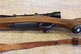 Ruger M77 in .243 WIN - 12 of 19