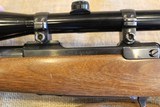 Ruger M77 in .243 WIN - 18 of 19
