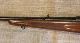 Winchester Model 70 Pre-64 in .300 WIN MAG - 14 of 19