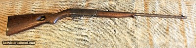 Remington Model 24 in .22 Short