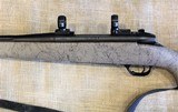 Weatherby Mark V in .300 WIN MAG - 10 of 17