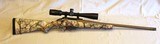 Ruger American with .243 WIN with Vortex Scope - 1 of 14