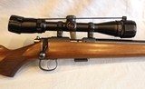 CZ 453 American in .22 LR with Banner scope - 3 of 17