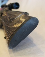 Savage A17 Target Thumbhole in 17 HMR with Bushnell Scope - 7 of 16