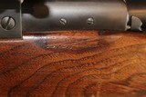 Winchester Model 70 in .375 H&H - 12 of 21