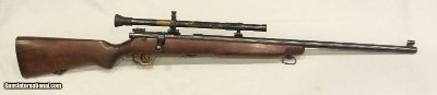 Stevens Model 416 in .22LR