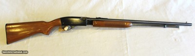 Remington Fieldmaster 572 in 22 S/L/LR