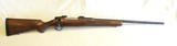 Kimber 8400 Classic in 25-06 Rem - 1 of 17
