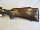 Winchester Model 70 in 264 Win Mag - 9 of 21