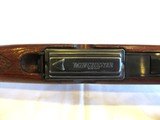 Winchester Model 88 in 243 WIN - 16 of 17