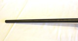 CZ 457 American in 17 HMR - 14 of 17