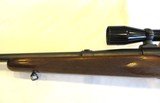 Winchester Model 70 in 220 Swift - 12 of 19