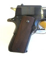 Colt 