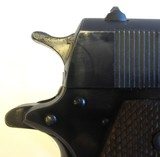 Colt 