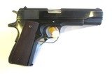Colt 