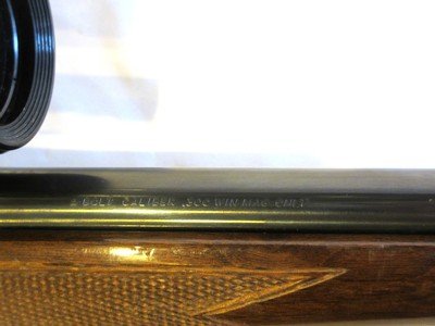 Browning A-Bolt in .300 Winchester Magnum with Charles Daly 4–12x scope - Image 8 of 17