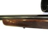 Browning A-Bolt in .300 Winchester Magnum with Charles Daly 4–12x scope - 15 of 17