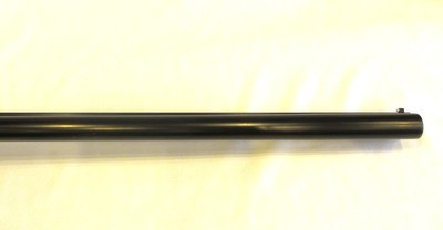 CZ Bobwhite G2 in 12 GA, 28