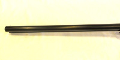 CZ Bobwhite G2 in 12 GA, 28