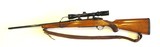 Ruger M77 in .30-06 Springfield with a Bushnell Banner 3–9x scope - 8 of 18