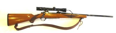 Ruger M77 in .30-06 Springfield with a Bushnell Banner 3–9x scope