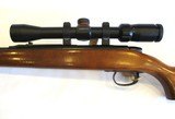Remington Model 582 chambered in .22 Short, Long, and Long Rifle - 11 of 17