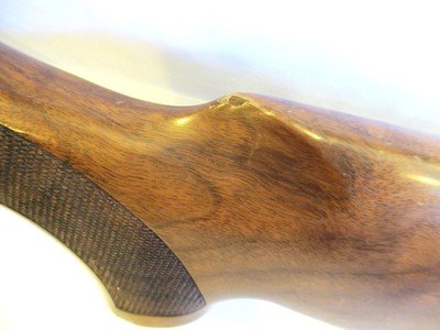 Beretta AL391 Urika 20GA 26 - Image 14 of 23
