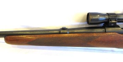Pre-64 Winchester Model 70 .257 Roberts – 1948 – Weaver Scope - Image 12 of 19