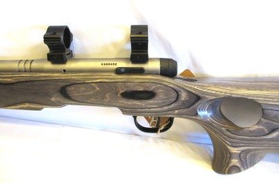 Savage Arms B.MAG Target Full Size 17 WSM 8+1 22