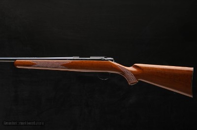 Kimber Model 82 .25-20