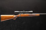 Remington 504 .17 Mach 2 - 7 of 8