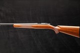 Kimber 82 .17 K Hornet - 1 of 8