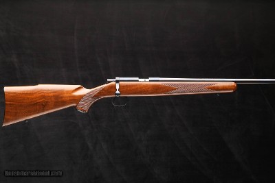 Kimber 82 .22WMR