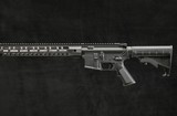 Palmetto state armory PA-15 6.5 Grendel - 3 of 8