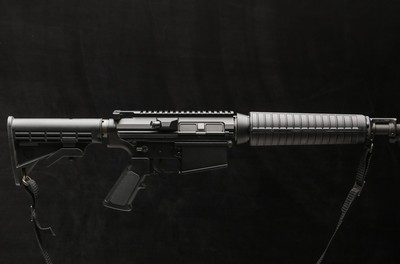 Bushmaster BR-308 .308 AR-10
