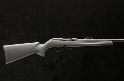 Remington Model 597 22LR