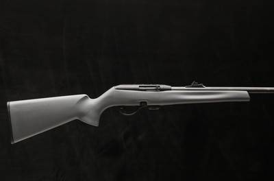 Remington Model 597 .22LR