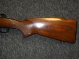 Winchester Model 70243 Varmint1961Excellant - 5 of 7