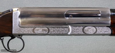 Cosmi Steel 20ga 26