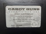 Cabot Apocalypse 9mm 5