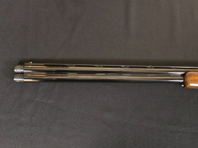 Syren Tempio Sporting 12ga 30