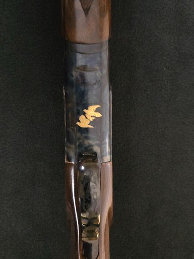 Caesar Guerini Woodlander Dove 20ga 30