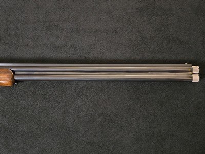 Caesar Guerini Woodlander Dove 20ga 30