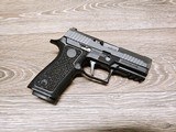 Sig Sauer P320 Pro Carry - 2 of 14