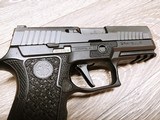 Sig Sauer P320 Pro Carry - 4 of 14