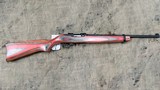 Ruger 10-22 .22 cal semi-auto rifle